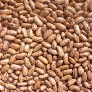Chitra Rajmah Kidney Beans-4lb