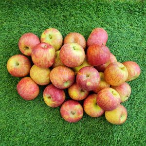 Apple, Fuji, 1lb
