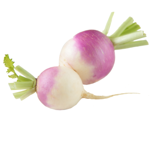 Turnip 1lbs