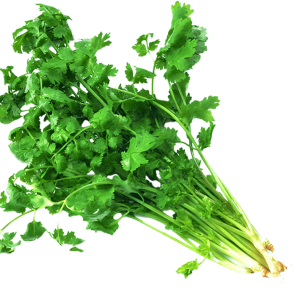 Coriander (Each Bunch)