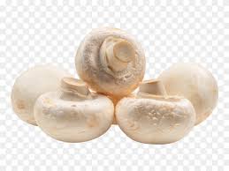 mushroom 1 Tray
