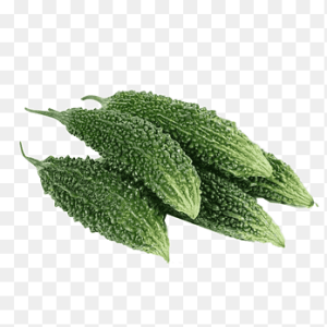 Indian Karela (Bitter Gourd) 1lbs