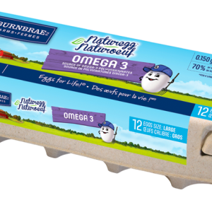 White Eggs 12 pcs