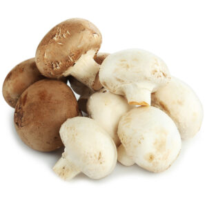 Mushrooms