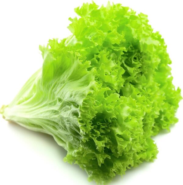 Lettuce (Each)