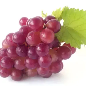 Red Grapes