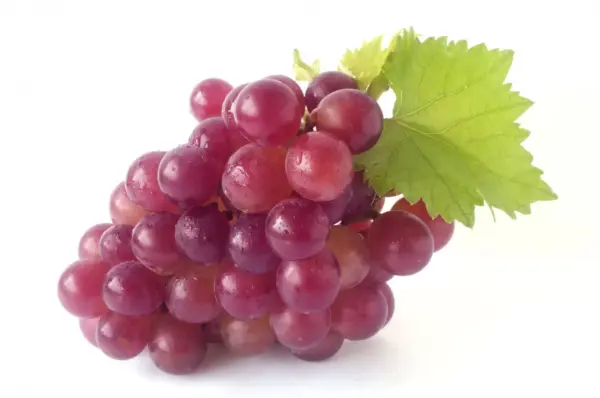 Red Grapes