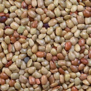 Light or Dorb rajma (4Lb)
