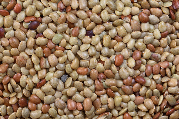 Light or Dorb rajma (4Lb)