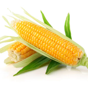 Sweet Corn /"Each"