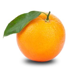 large orange/"Lb"