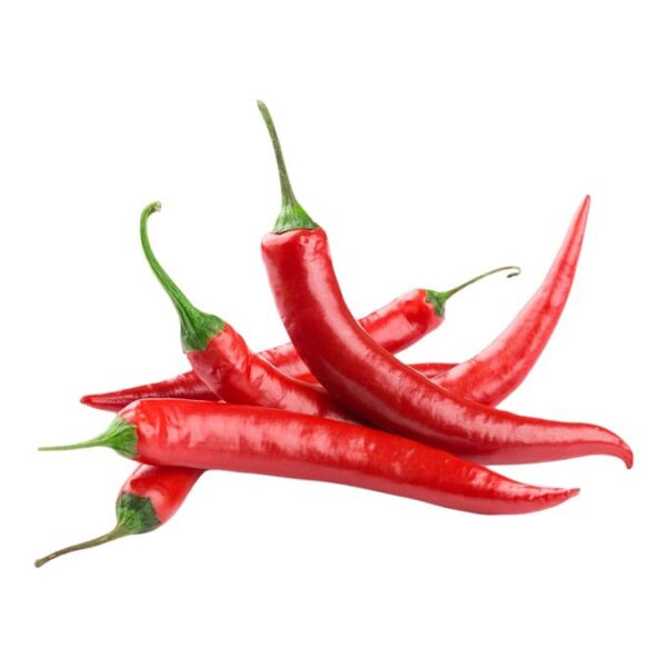Long Chili /"Lb"