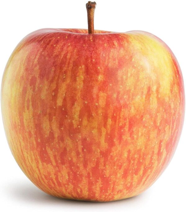 Fugi Apple