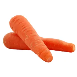 Indian Carrot /"LB"