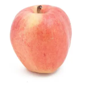 Gala Apple