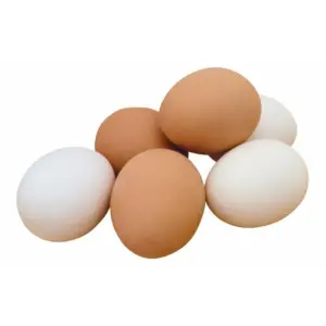 Brown and White Eggs (12 Pes)