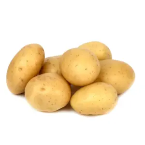Potato
