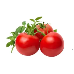 Round Tomato 1Lbs