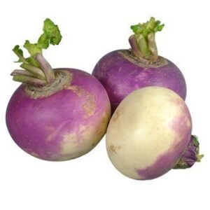 Turnip /"Lb"