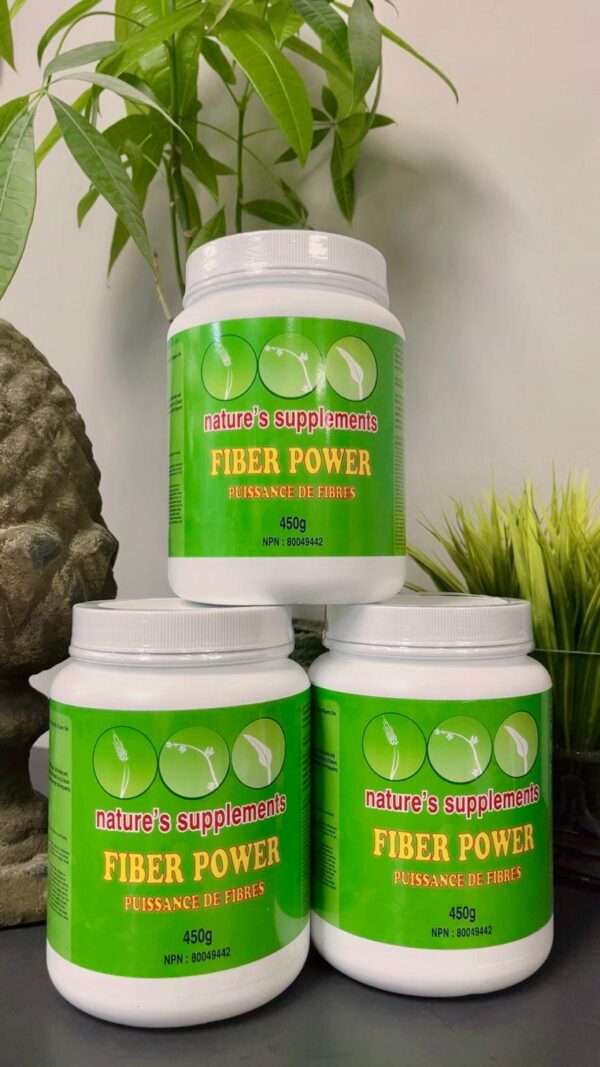 Nature Supplements Fiber Power